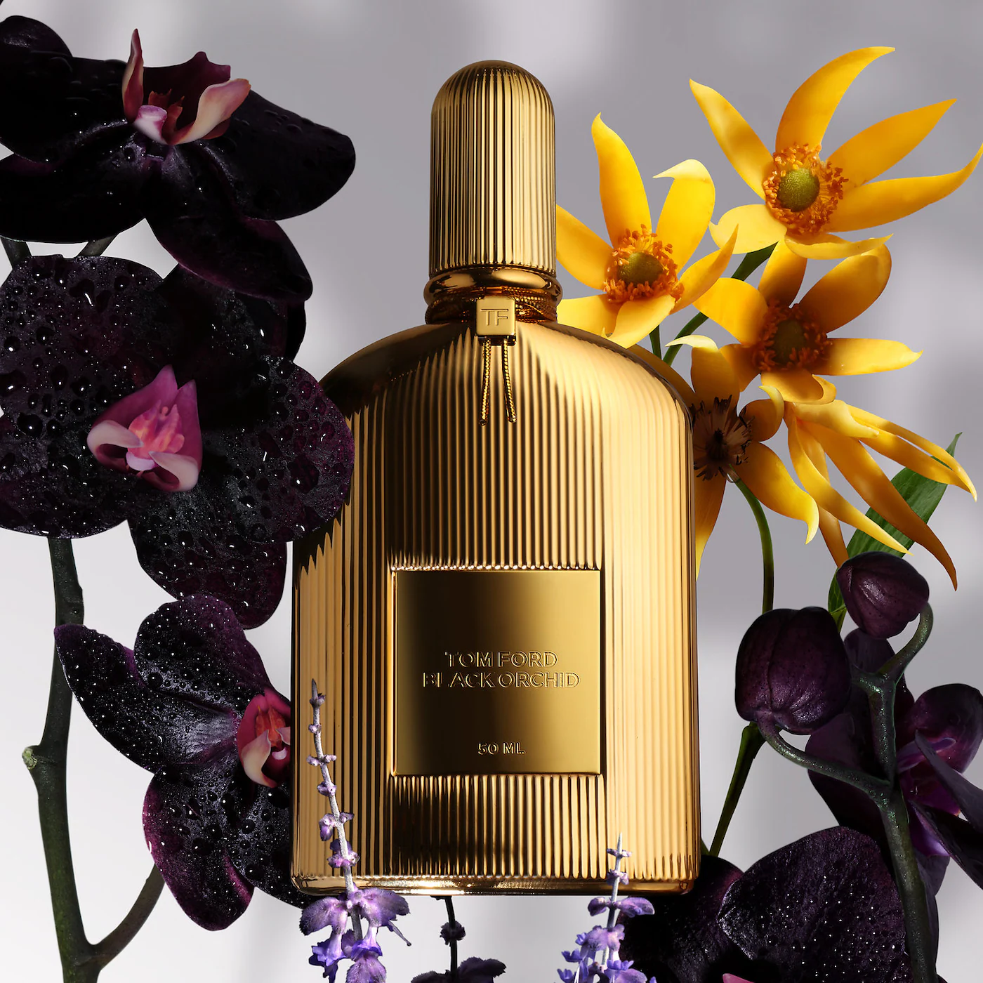 Black Orchid Parfum